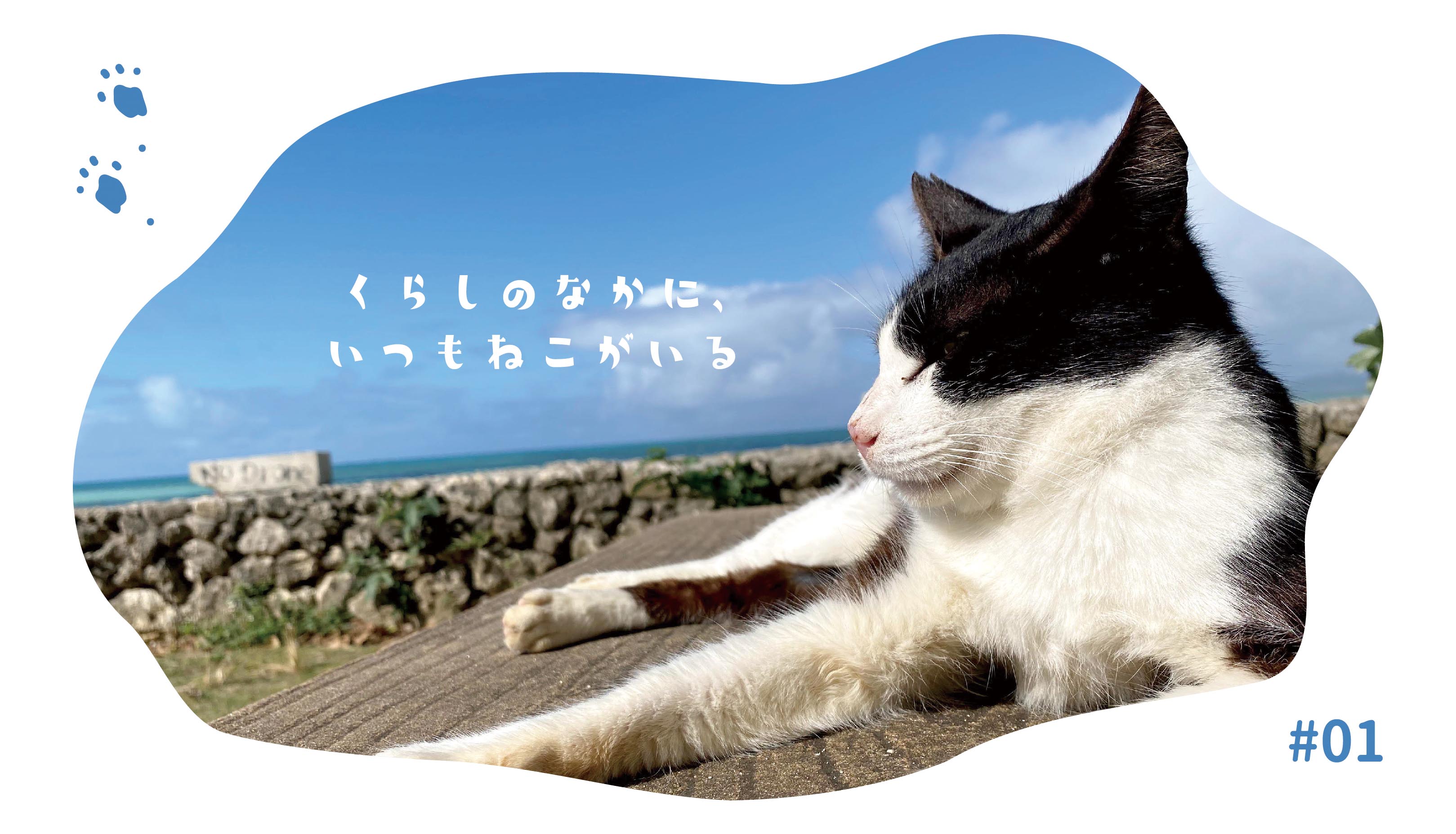 猫バナー_0-1.jpg
