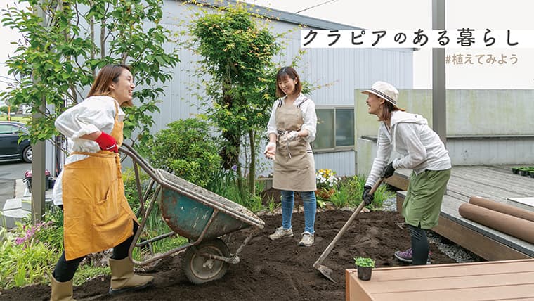 かんたん カワイイ 気持ちいい お庭にクラピア 植えてみよう Tanokura